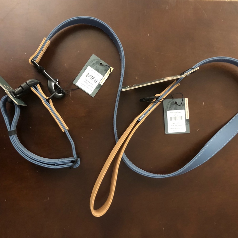 NWTO COLLAR & LEASH SET: Collar is M 1”x14”-18” adjustable Leash is M/L 1”x48” L